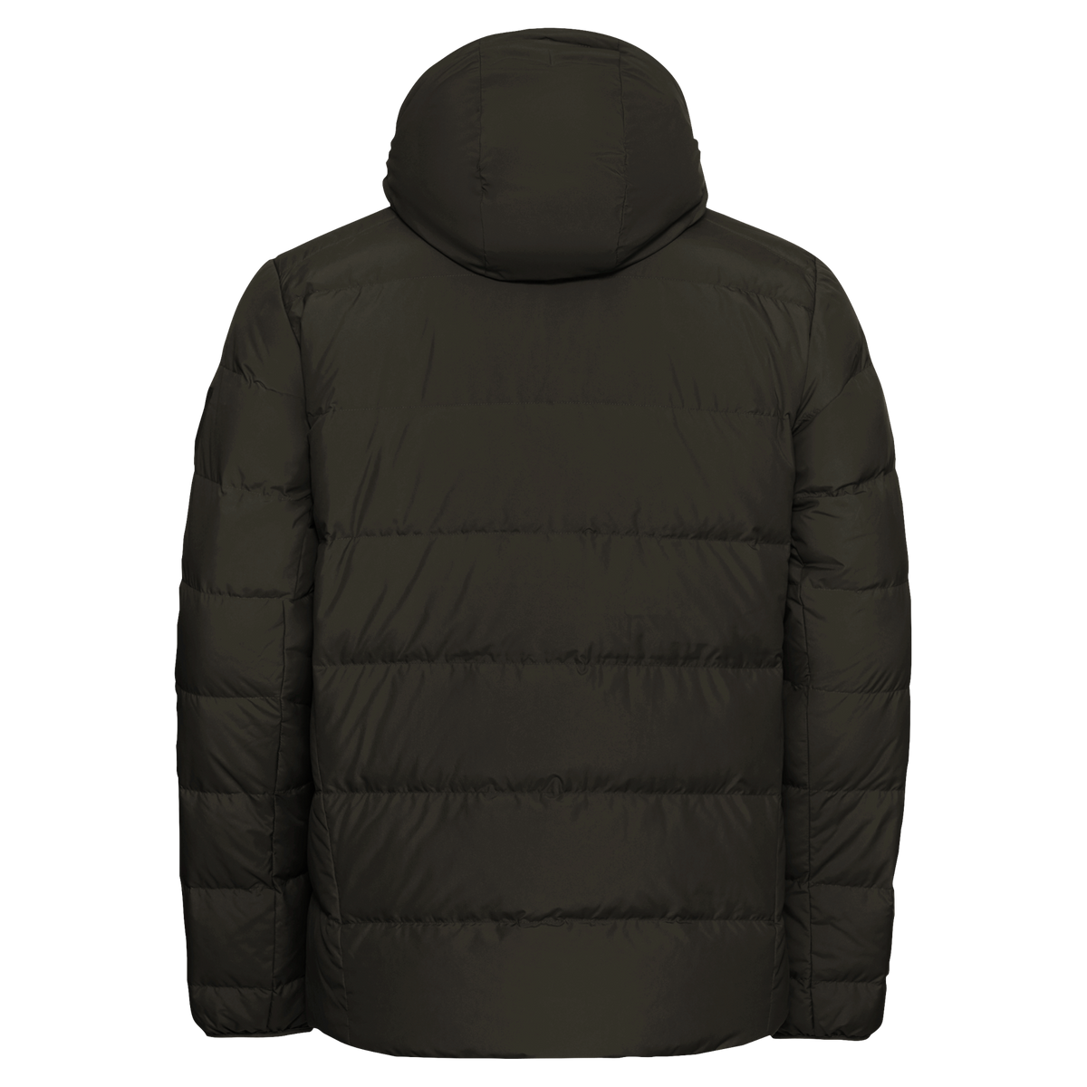 JACK WOLFSKIN COLONIUS JKT M RDS Obsidian Moss 9-a120
