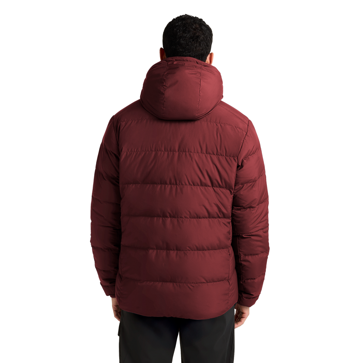 JACK WOLFSKIN COLONIUS JKT M RDS Merlot 1-ma120