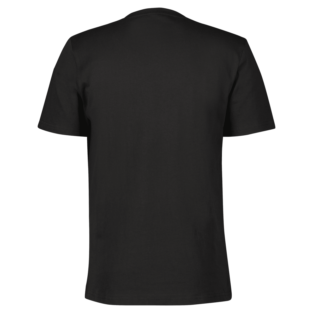 SCOTT Typo T-Shirt Herren in Black – Rückansicht