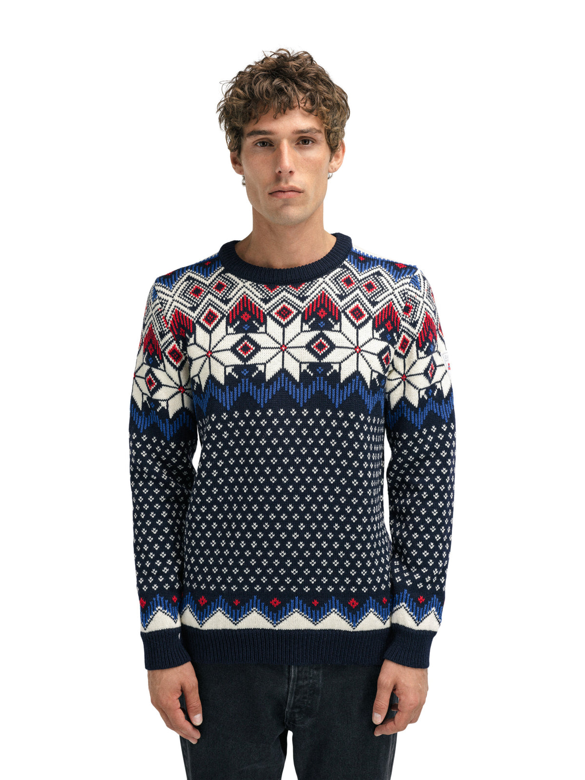 Dale Of Norway M VEGARD MASCULINE SWEATER Navy OffWhite Ultramarin Rasb L - PeakStyle