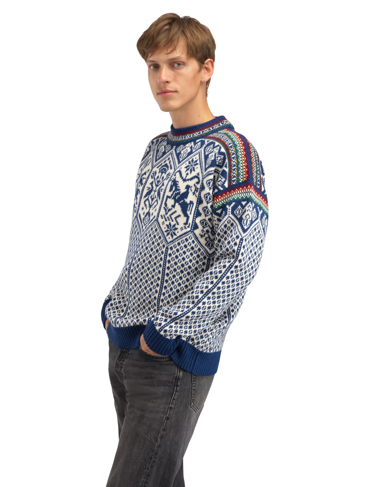 Dale Of Norway 1994 Pull en Laine Homme – Indigo - Moutarde - Vert Bouteille Page Studio