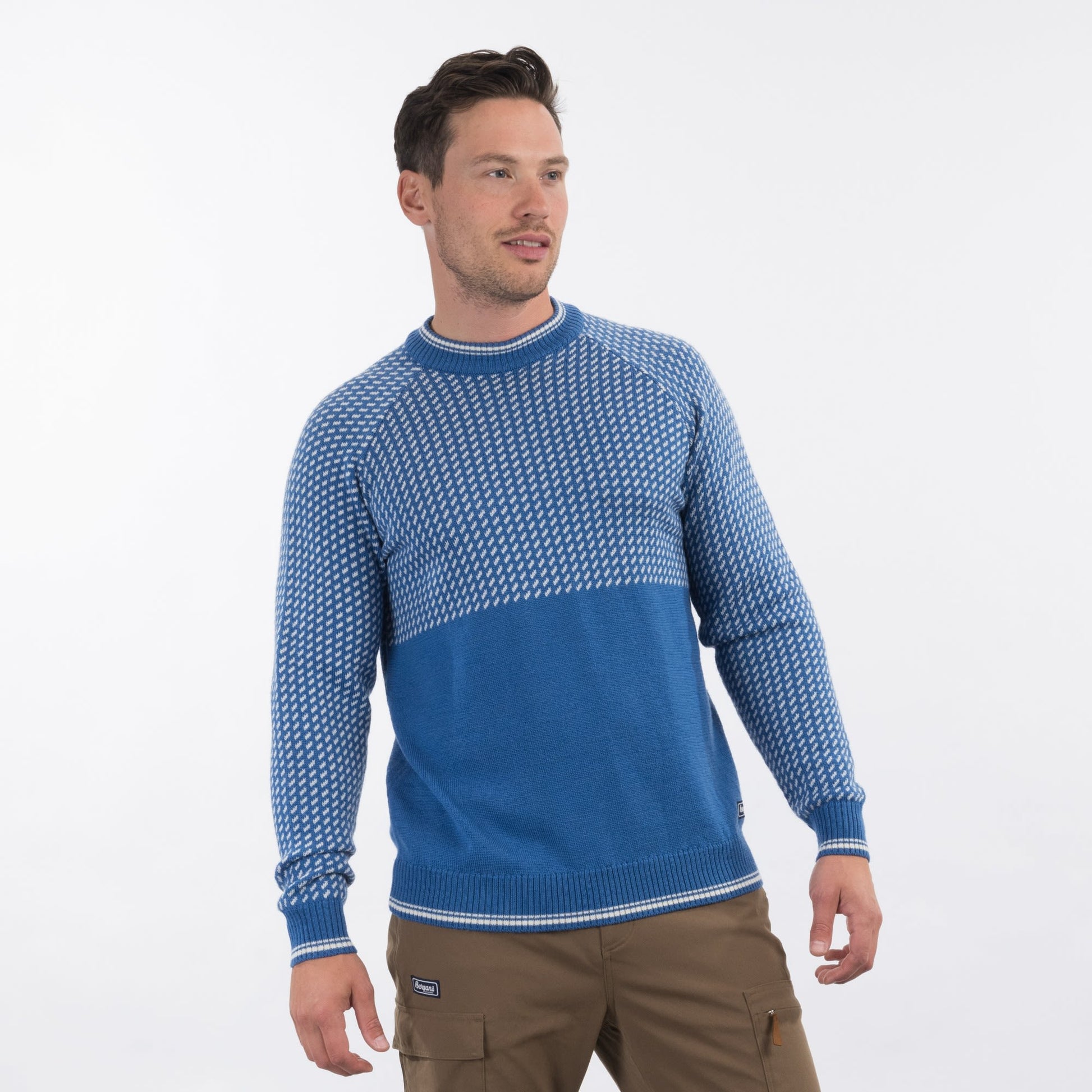 Bergans ALVDAL WOOL M JUMPER (VORGÄNGERMODELL)