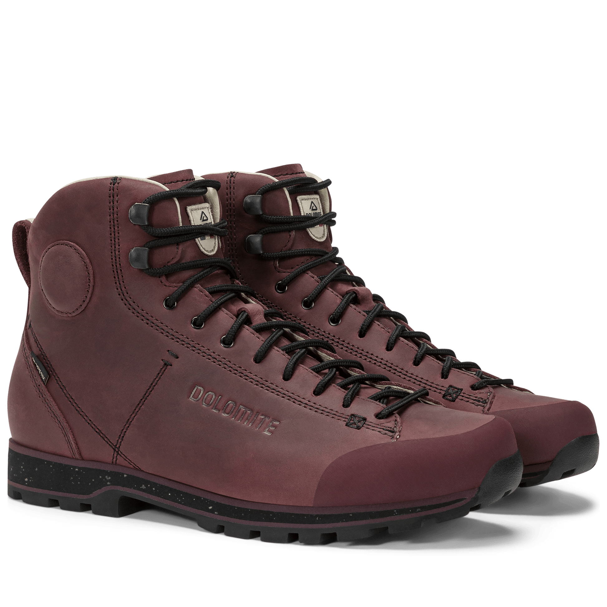 Dolomite 54 HIGH FG EVO GORE-TEX