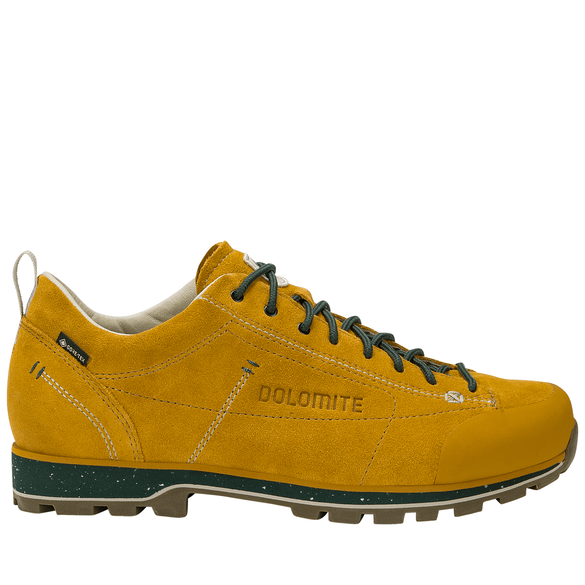 Dolomite 54 LOW EVO GTX