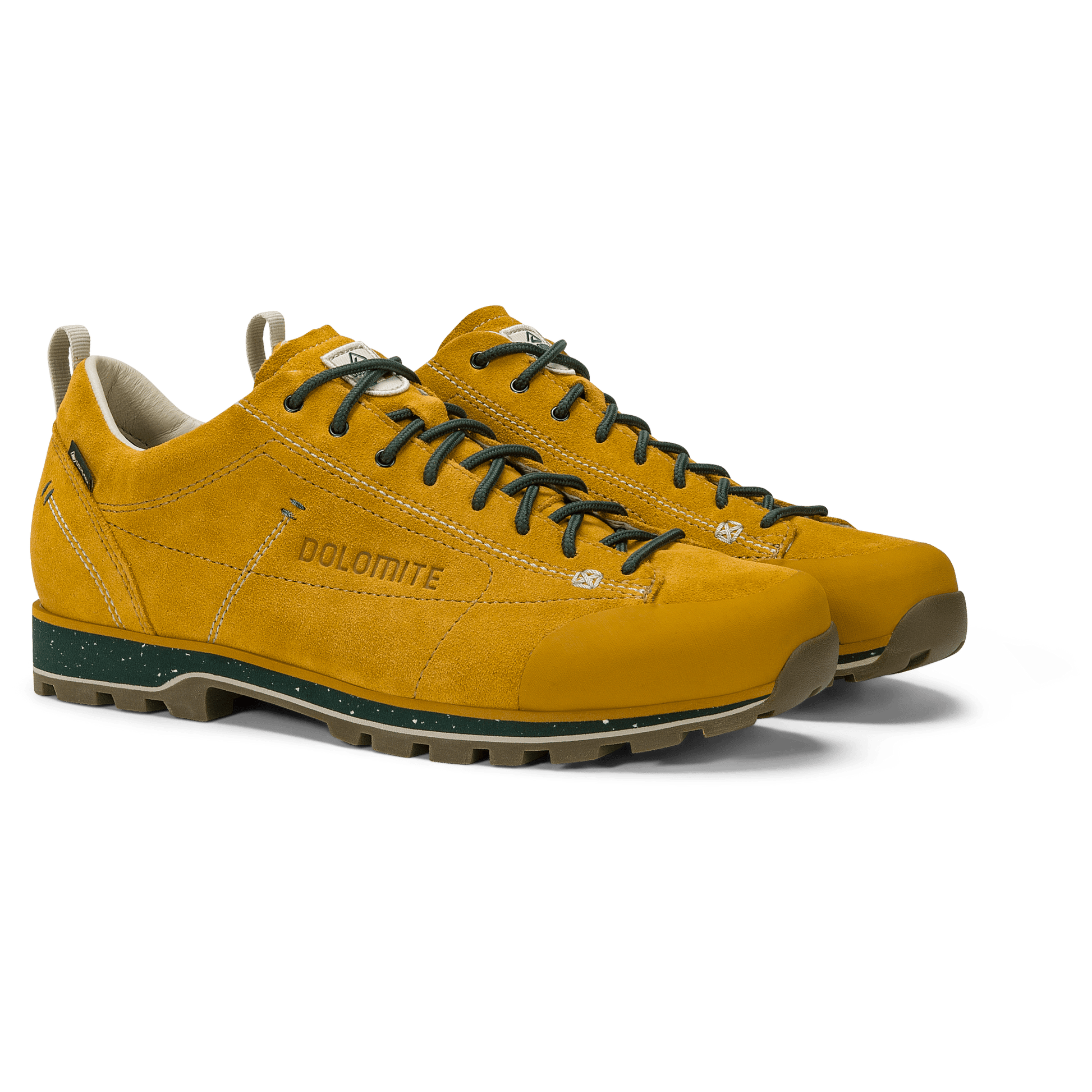 Dolomite 54 LOW EVO GTX