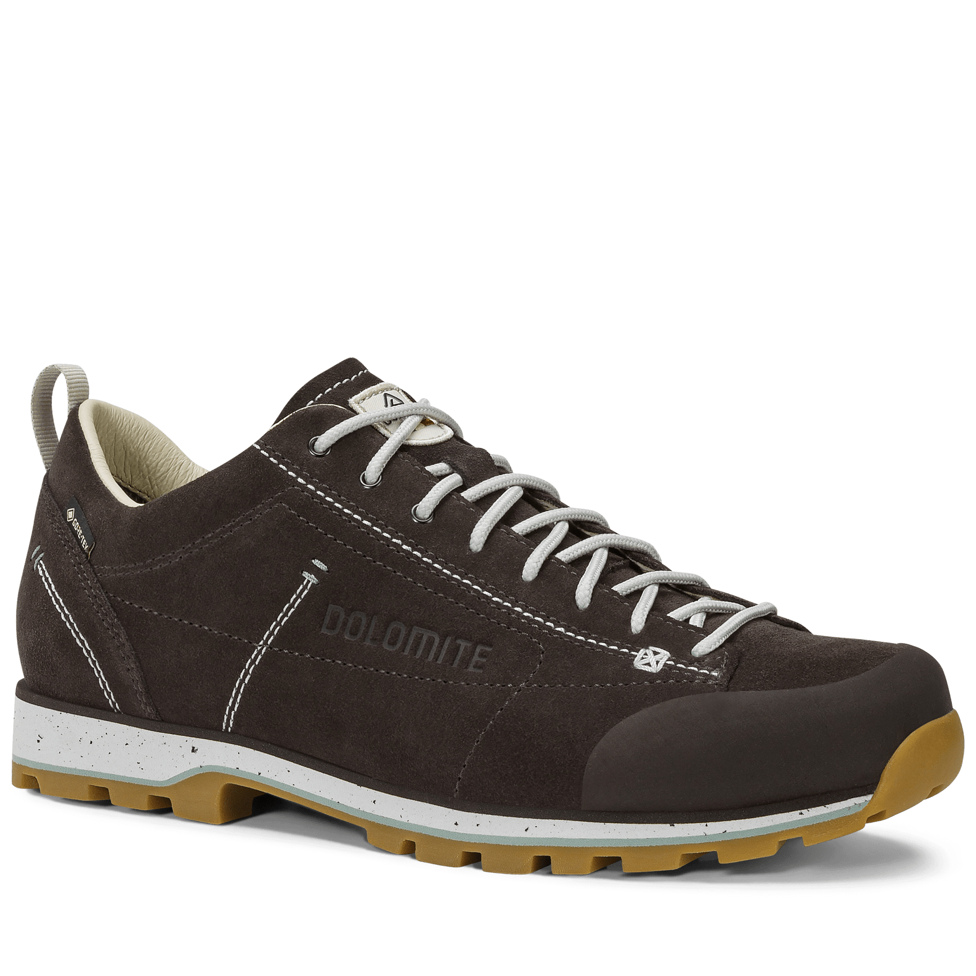 Dolomite 54 LOW EVO GTX