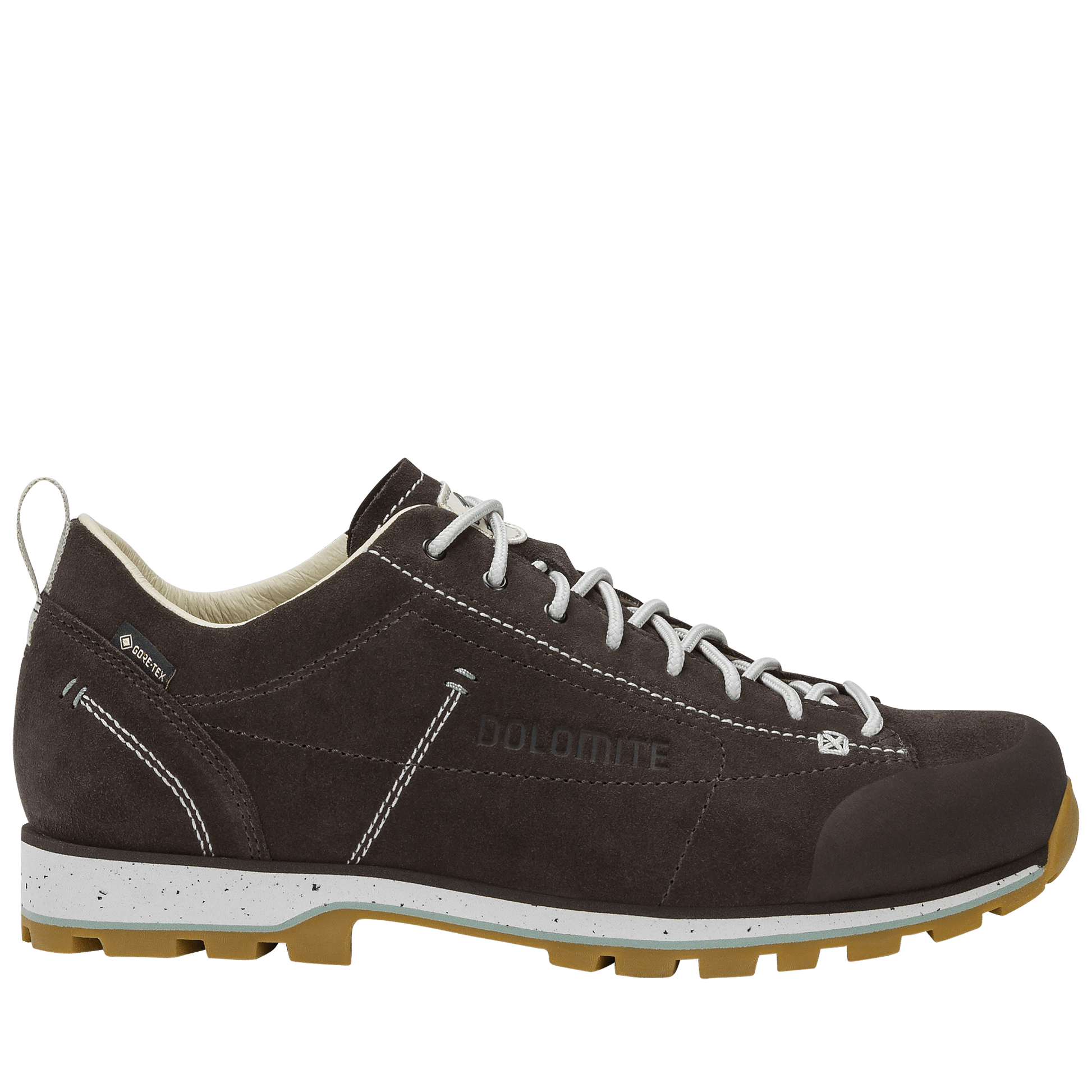Dolomite 54 LOW EVO GTX