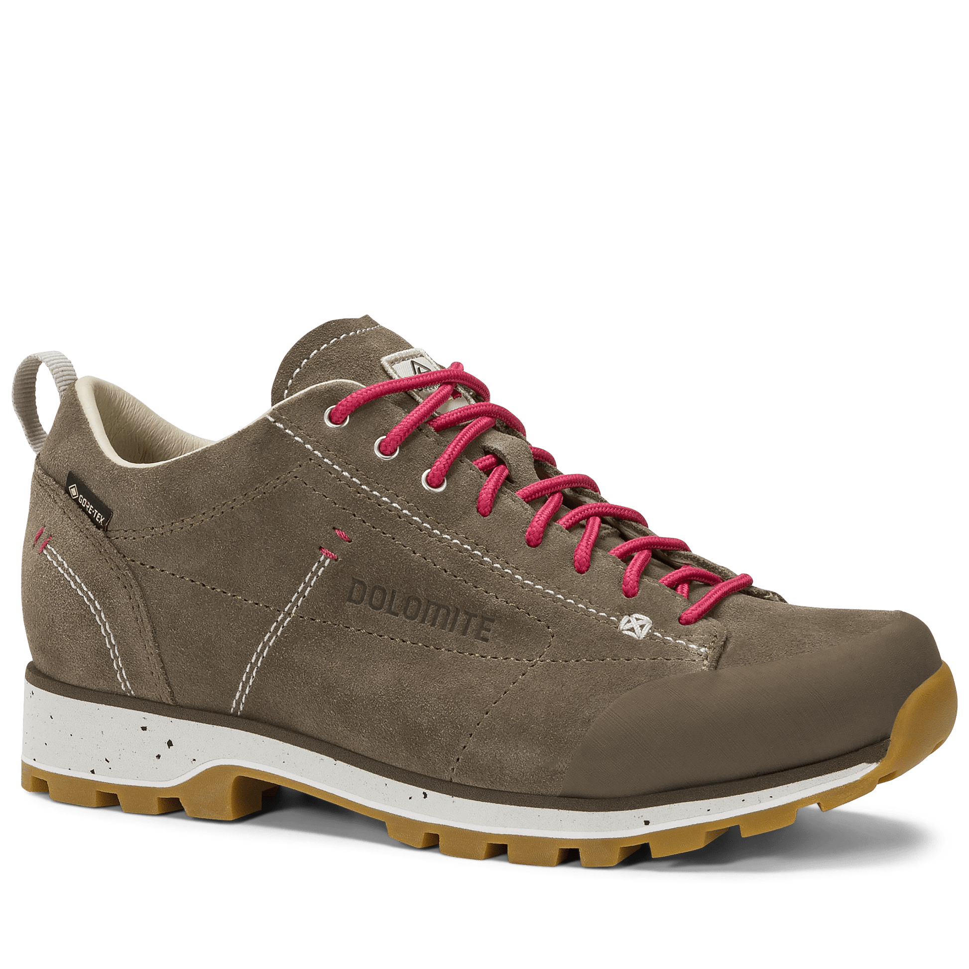 Dolomite 54 LOW EVO GTX WOMEN
