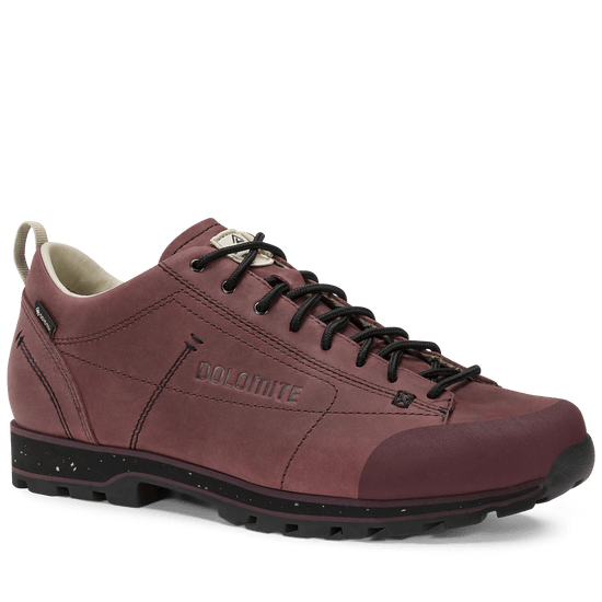 Dolomite 54 LOW FG EVO GORE-TEX