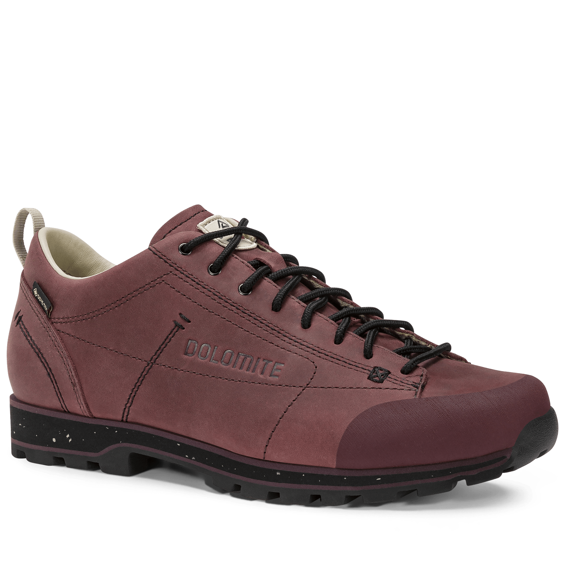 Dolomite 54 LOW FG EVO GORE-TEX