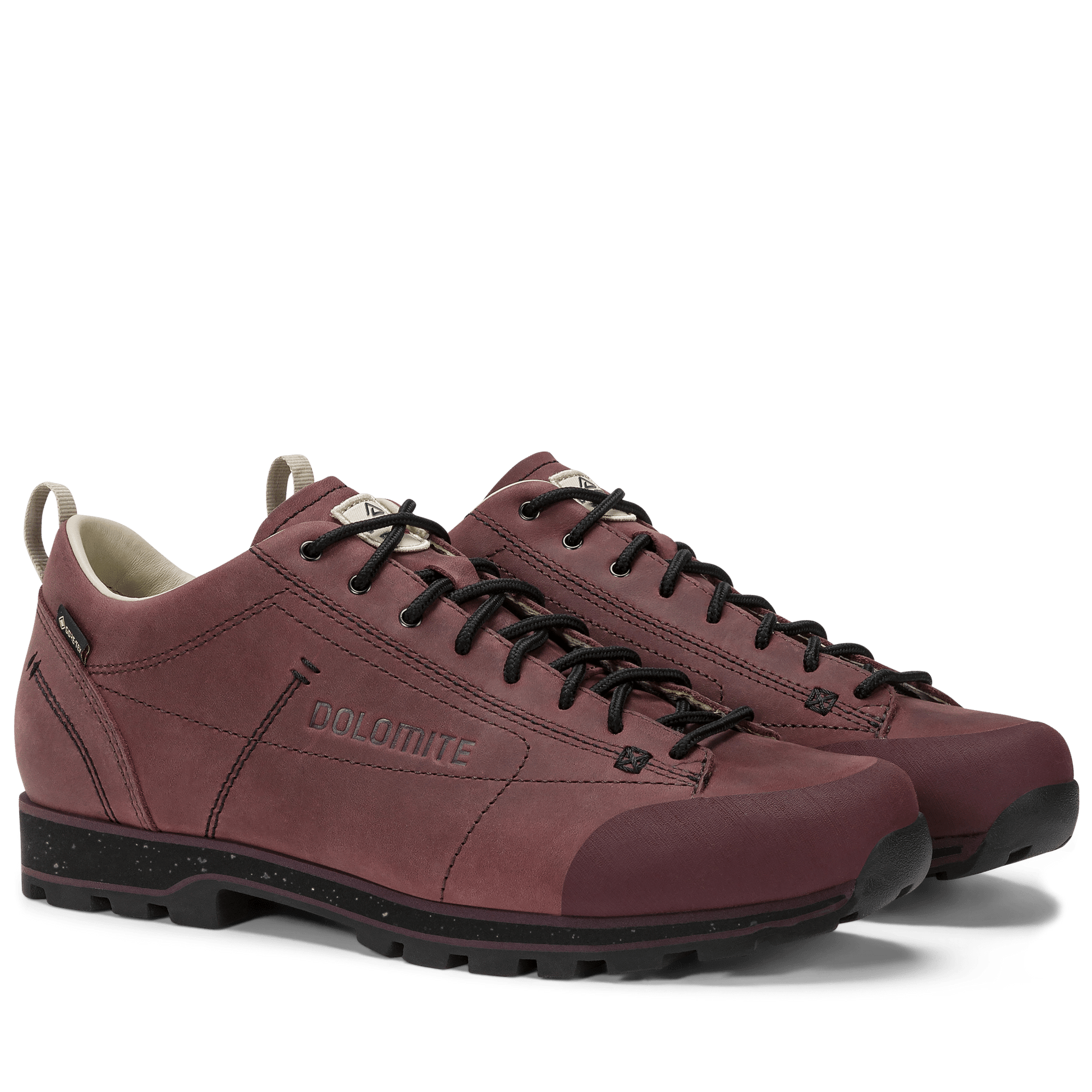 Dolomite 54 LOW FG EVO GORE-TEX