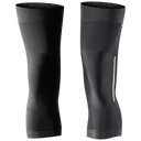 Scott KNEEWARMER AS 10