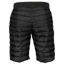 Scott M SHORTS INSULOFT TECH