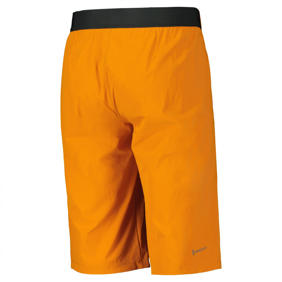 Scott M TRAIL VERTIC W/PAD SHORTS