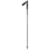 Scott TRAIL CARBON POLE