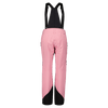 Scott W PANTS VERTIC GTX 2L