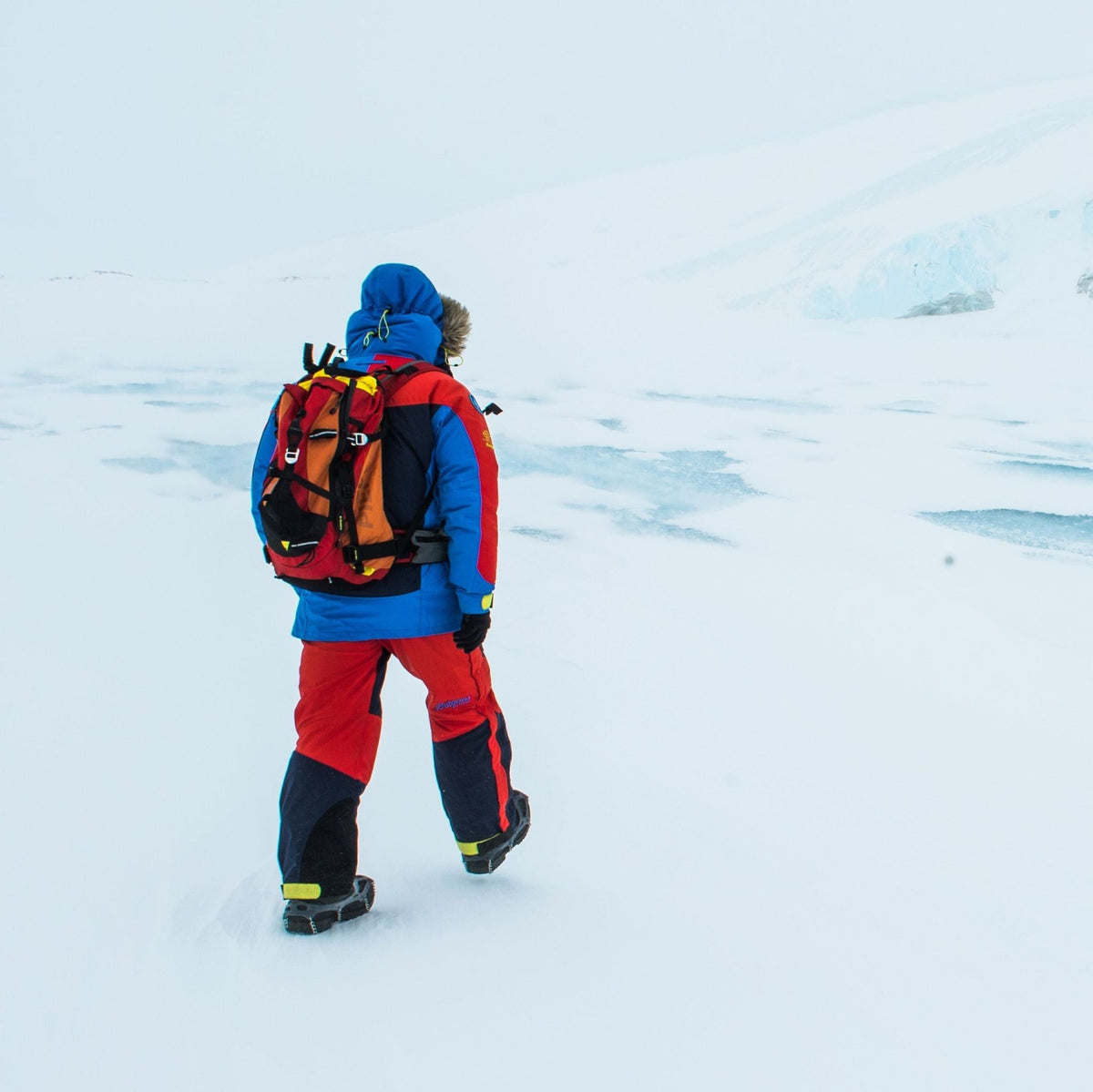 Bergans ARCTIC EXPEDITION SALOPETTE - Trägerhosen bei PeakStyle