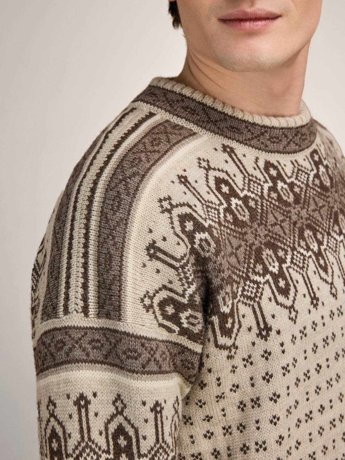 Dale Of Norway ALBERTVILLE Wollpullover Herren | Birch - Coffee | Detail | DALE-96351-M00-05