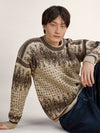 Dale Of Norway ALBERTVILLE Wollpullover Herren | Birch - Coffee | Studio | DALE-96351-M00-01