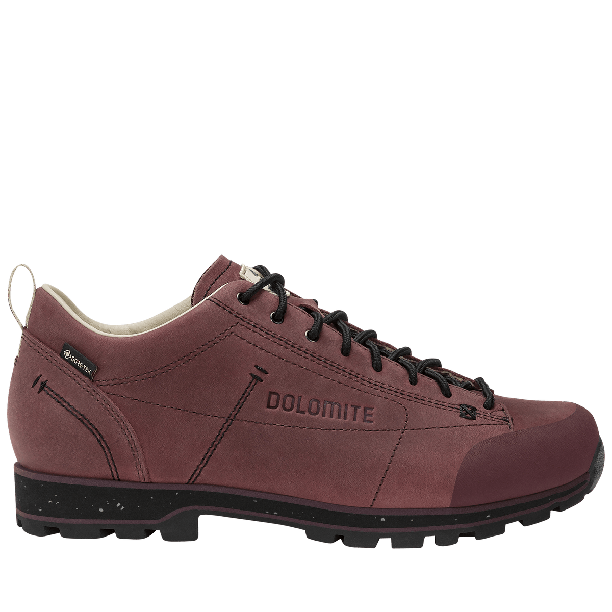 Dolomite 54 Low FG Evo GORE-TEX Schuh - Schuhe bei PeakStyle