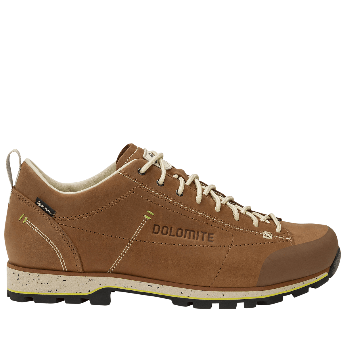 Dolomite 54 Low FG Evo GORE-TEX Schuh - Schuhe bei PeakStyle