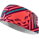Dynafit GRAPHIC PERFORMANCE HEADBAND - PeakStyle
