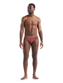 Icebreaker M ANATOMICA BRIEFS - PeakStyle