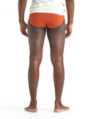 Icebreaker M ANATOMICA BRIEFS - PeakStyle