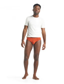 Icebreaker M ANATOMICA BRIEFS - PeakStyle