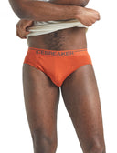 Icebreaker M ANATOMICA BRIEFS - PeakStyle