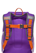 Jack Wolfskin ERLEBNIS PACK - Taschen bei PeakStyle