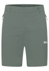 Jack Wolfskin M HIKEOUT SHORTS M - Shorts bei PeakStyle