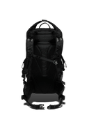 Jack Wolfskin WANDERMOOD ROLLTOP 30 - Taschen bei PeakStyle