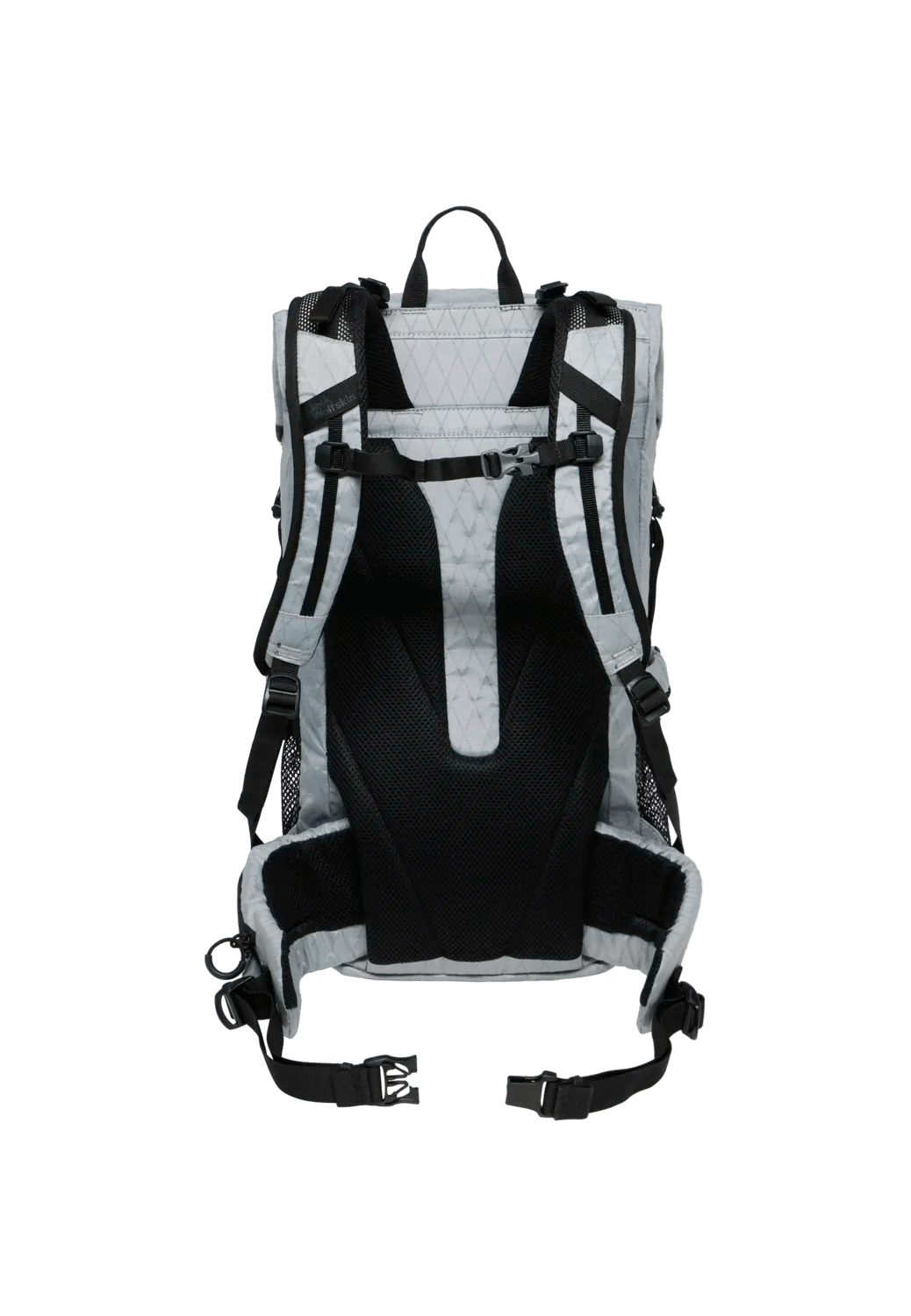 Jack Wolfskin WANDERMOOD ROLLTOP 30 - Taschen bei PeakStyle