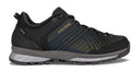 Lowa M CAREZZA GTX LO - PeakStyle