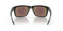 Oakley HOLBROOK POLARIZED - PeakStyle