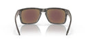 Oakley HOLBROOK POLARIZED - PeakStyle