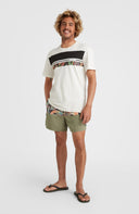 ONeill M CALI BLOCK 15'' SWIM SHORTS - PeakStyle