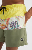 ONeill M CALI BLOCK 15'' SWIM SHORTS - PeakStyle