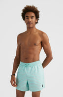 ONeill M CALI FIRST 15'' SWIM SHORTS - PeakStyle