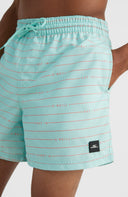 ONeill M CALI FIRST 15'' SWIM SHORTS - PeakStyle