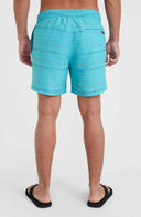 ONeill M JACK CALI FIRST 15'' SWIM SHORTS - PeakStyle