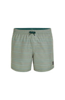 ONeill M JACK CALI FIRST 15'' SWIM SHORTS - PeakStyle