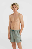 ONeill M JACK CALI FIRST 15'' SWIM SHORTS - PeakStyle