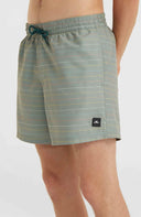 ONeill M JACK CALI FIRST 15'' SWIM SHORTS - PeakStyle