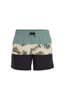 ONeill M MIX AND MATCH CALI BLOCK 15'' SWIM SHORTS - PeakStyle