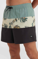 ONeill M MIX AND MATCH CALI BLOCK 15'' SWIM SHORTS - PeakStyle