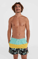 ONeill M MIX AND MATCH CALI BLOCK 15'' SWIM SHORTS - PeakStyle