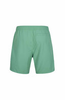 ONeill M ORIGINAL CALI 16" SWIM SHORTS - PeakStyle