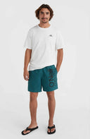 ONeill M ORIGINAL CALI 16'' SWIM SHORTS - PeakStyle